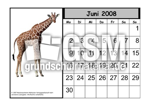 Tier-Kalender-08-06.pdf